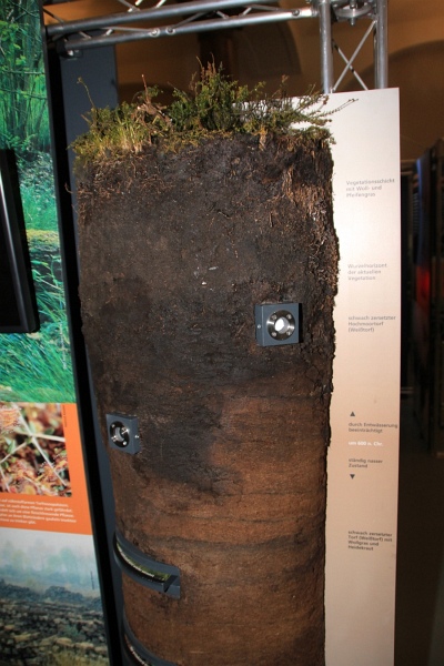 Klima   033.jpg